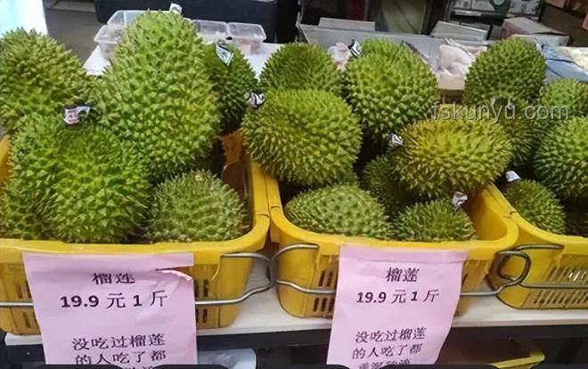 天价垃圾变宝藏？这些别再轻易扔！🔍榴莲虫、发霉盐的秘密💎